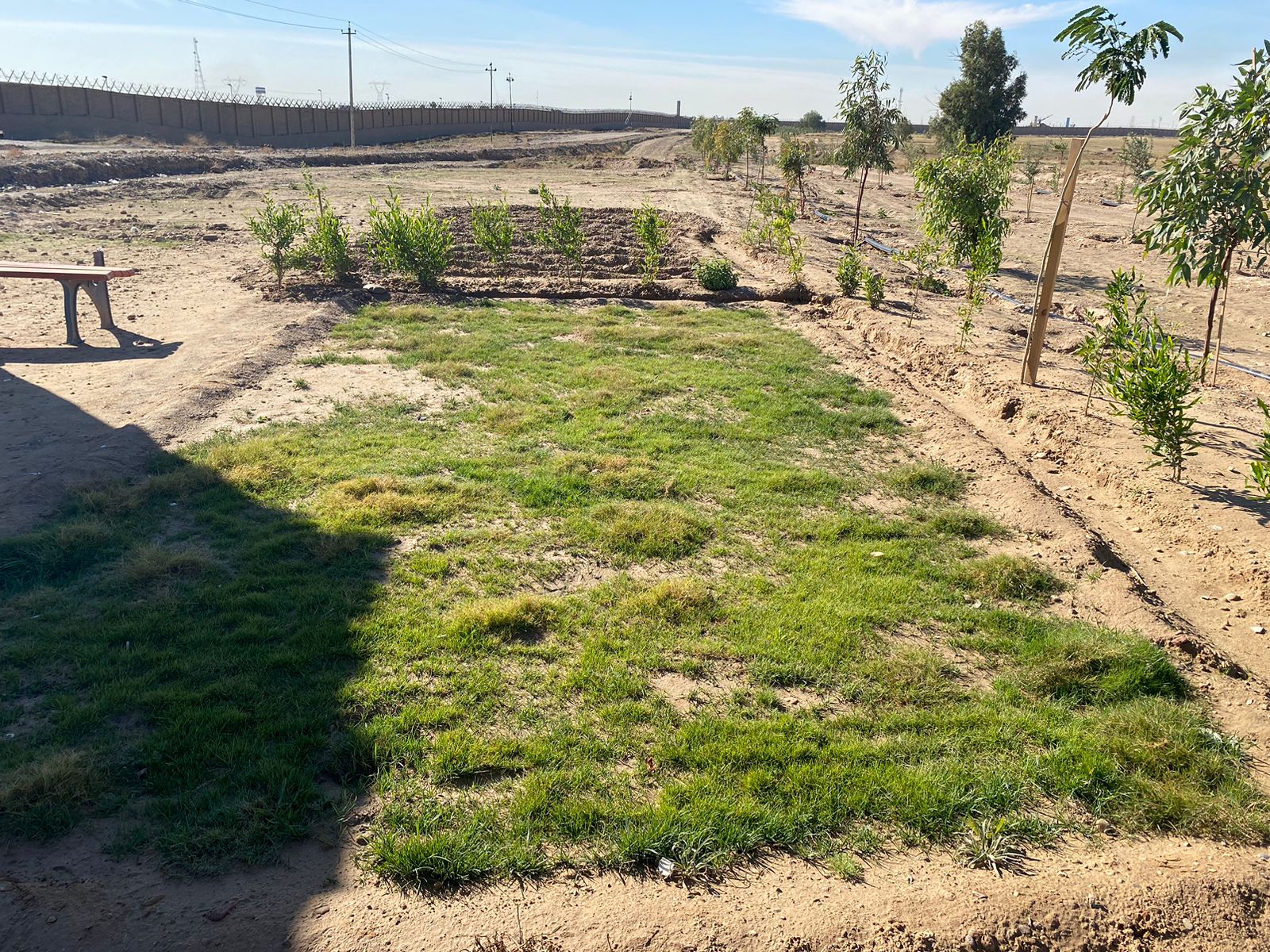 WhatsApp Image 2025 12 10 at 8.15.34 PM